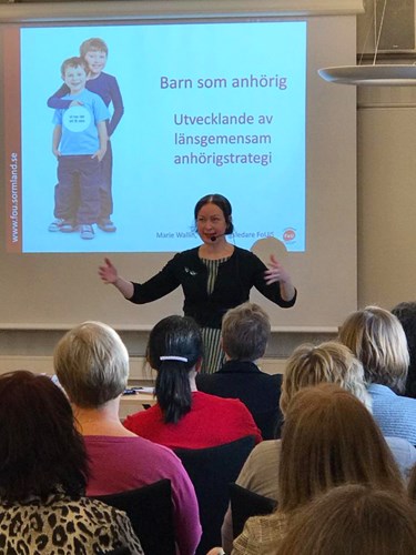Marie Wallin berättar om den länsgemensamma strategin