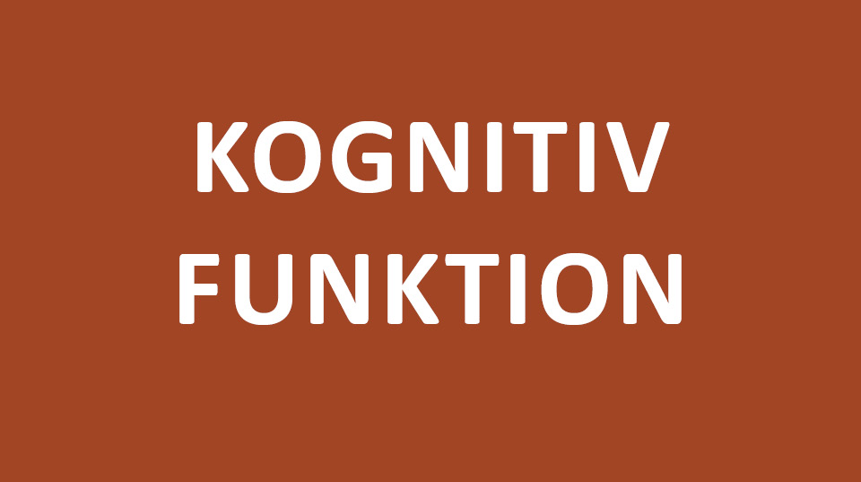 kognitiv funktion.jpg