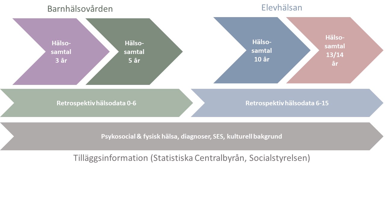 Datainsamling tidslinje