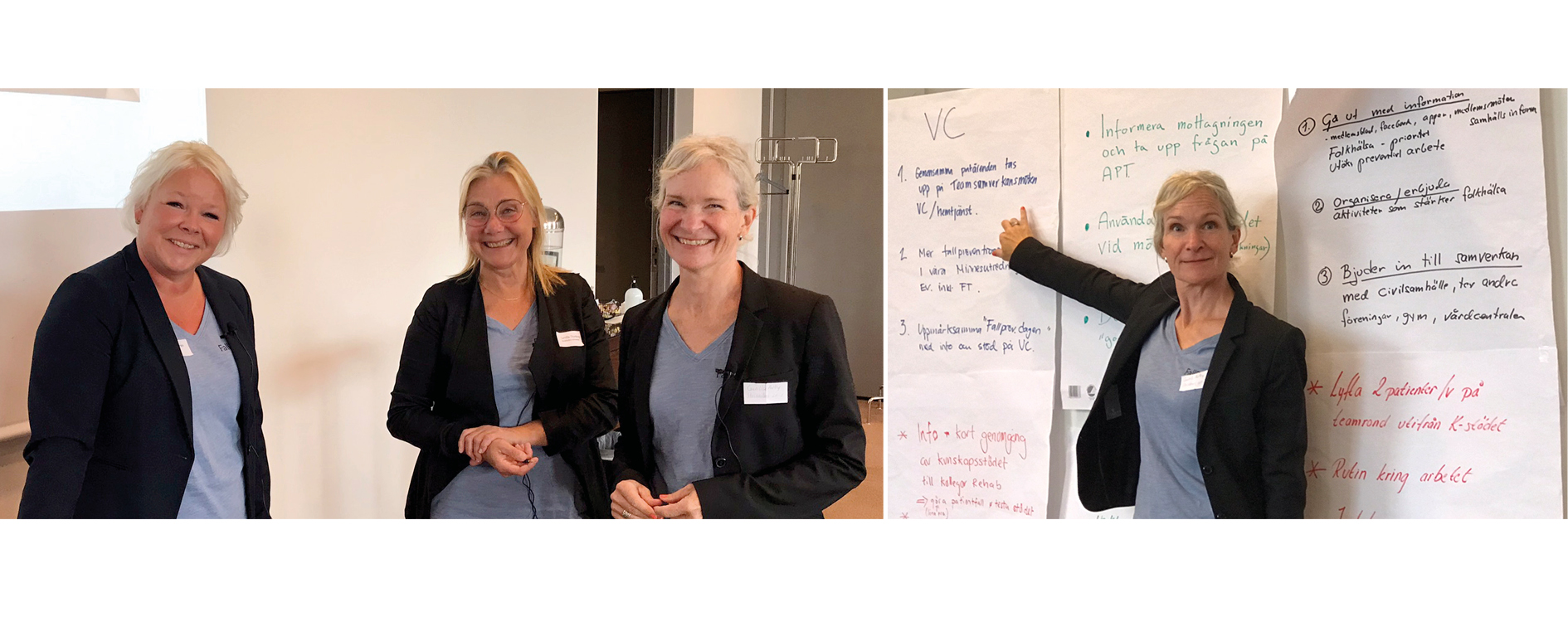 Föreläsarna och idéer från workshopen