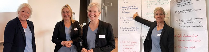 Föreläsarna och idéer från workshopen