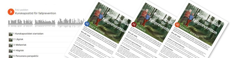 bild från kunskapsstödet