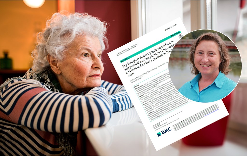 AdobeStock_208403128_med sus o artikel